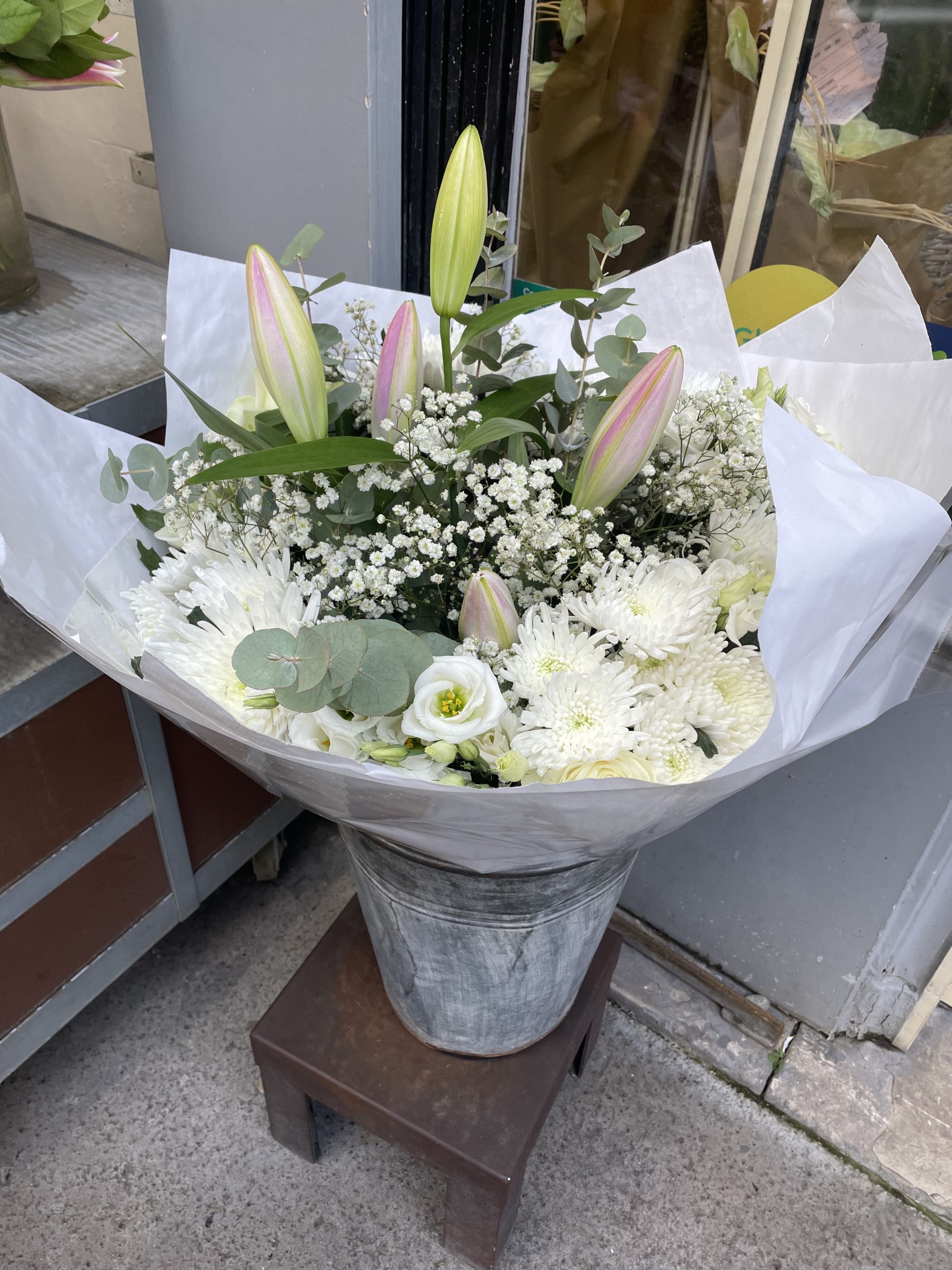 Welcome to the Blog!